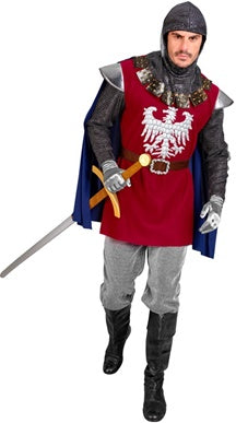 Castle Knight Costume