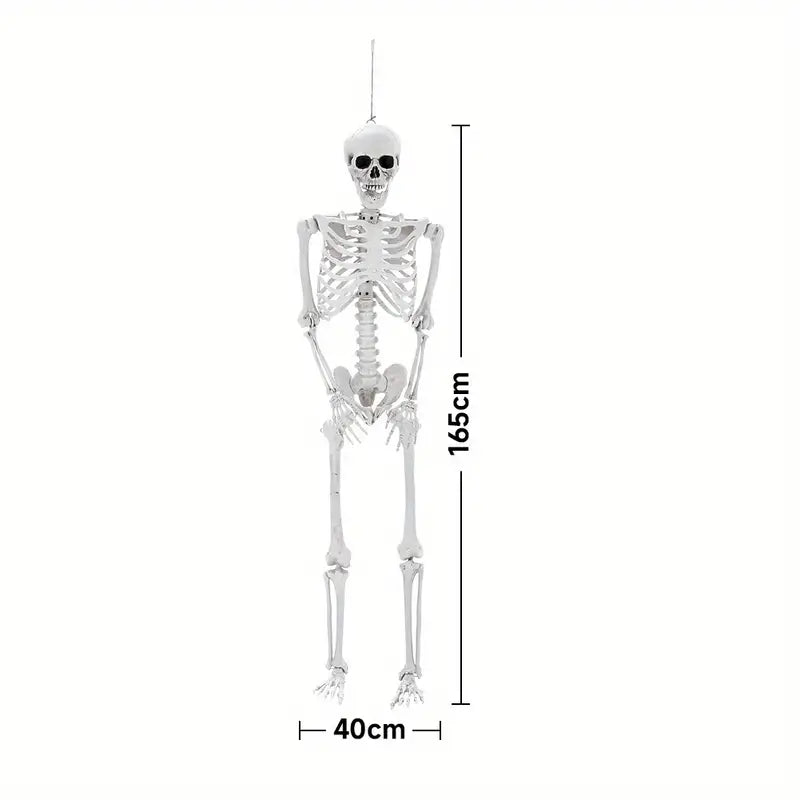 Life Size 165cm Realistic Poseable Skeleton Prop