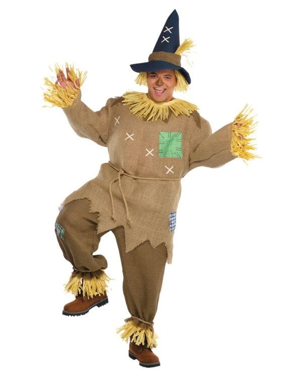 Scarecrow Deluxe Costume