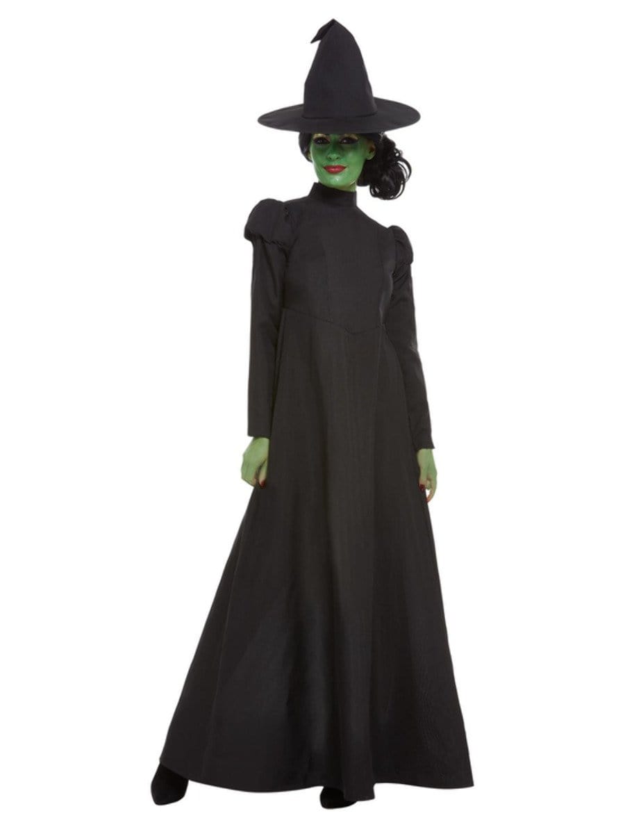 Wicked West Witch Costume