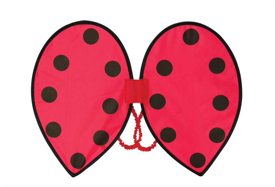 Ladybird Wings