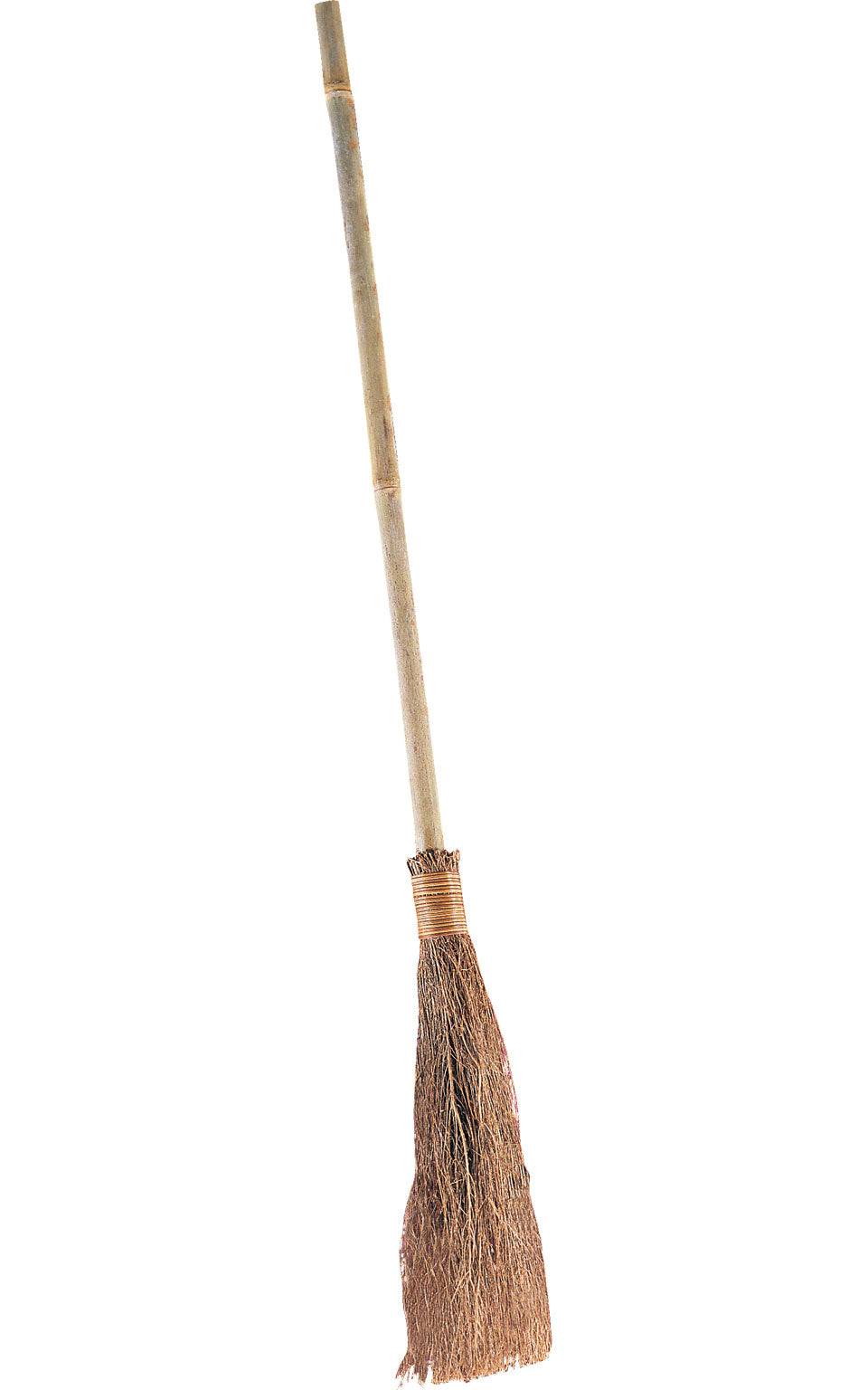Witch Broom