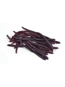 Mini Plastic Earthworms 20Pkt