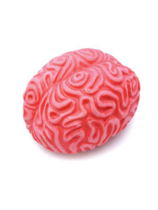 Fake Squeezy Brain
