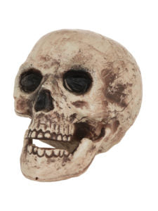 Plastic Realistic Skull