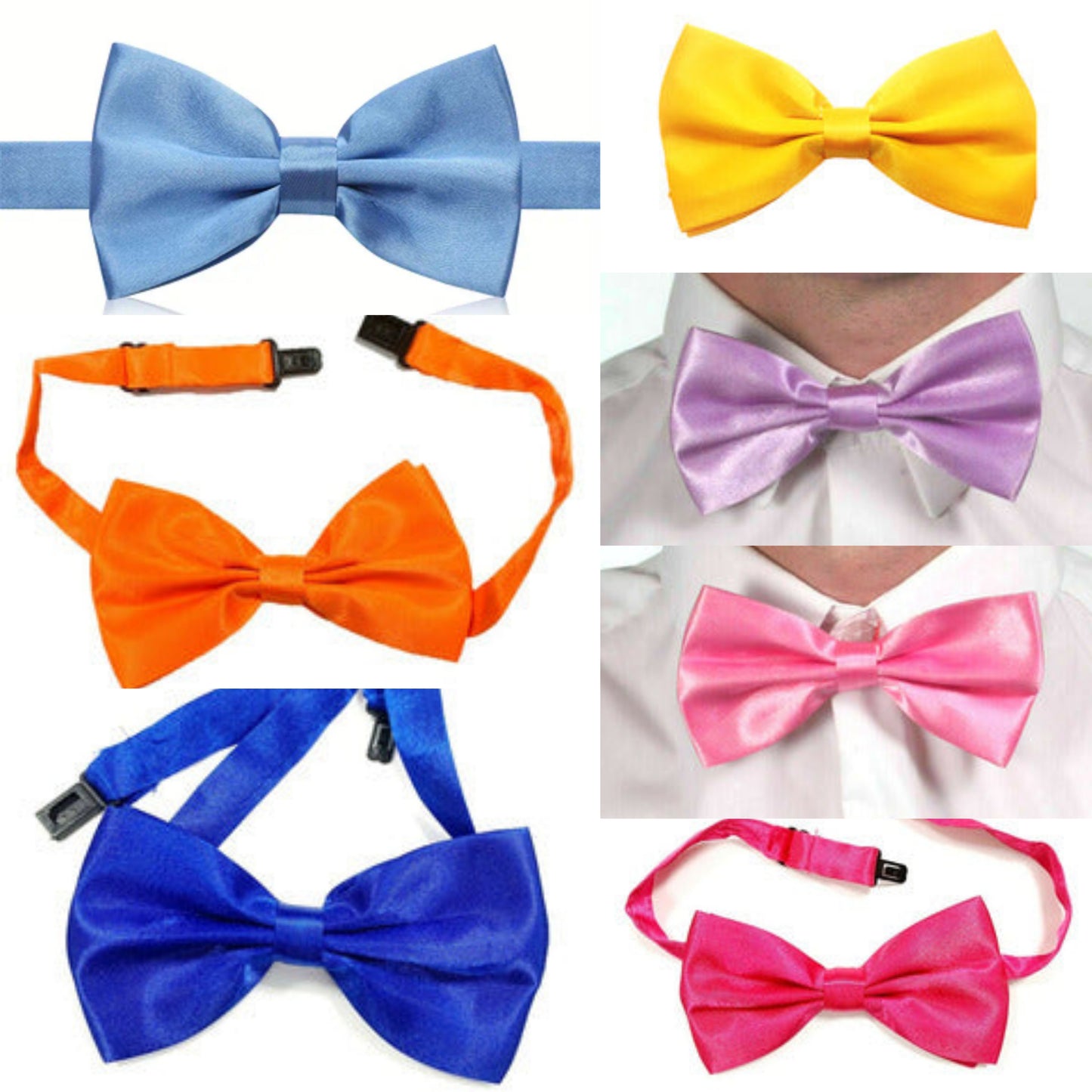 Bow tie Coloured