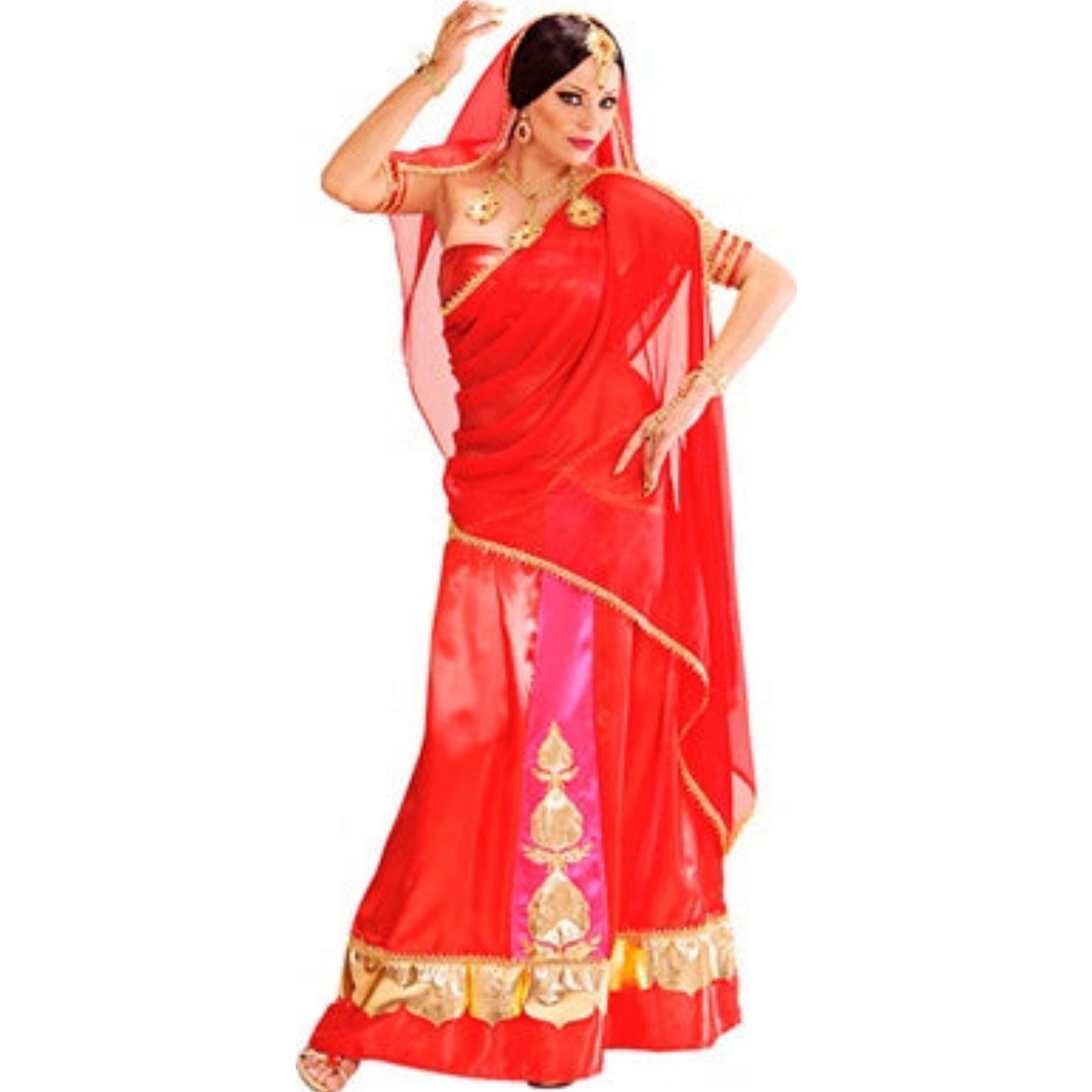 Bollywood Diva Deluxe Costume