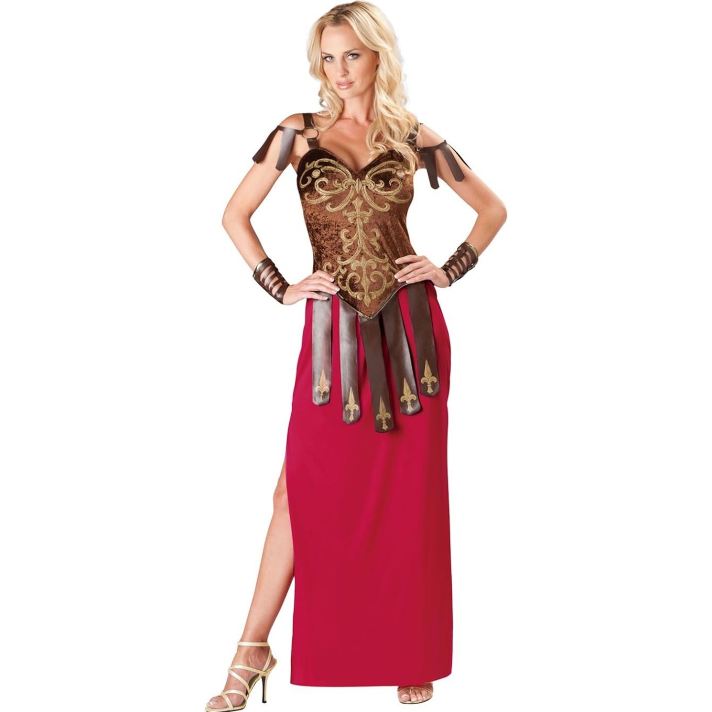Gorgeous Gladiator Costume