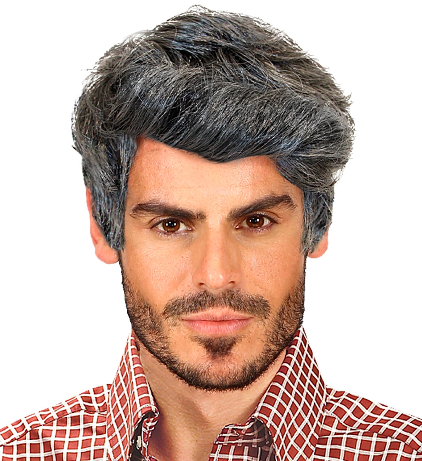 Male Rick Wig