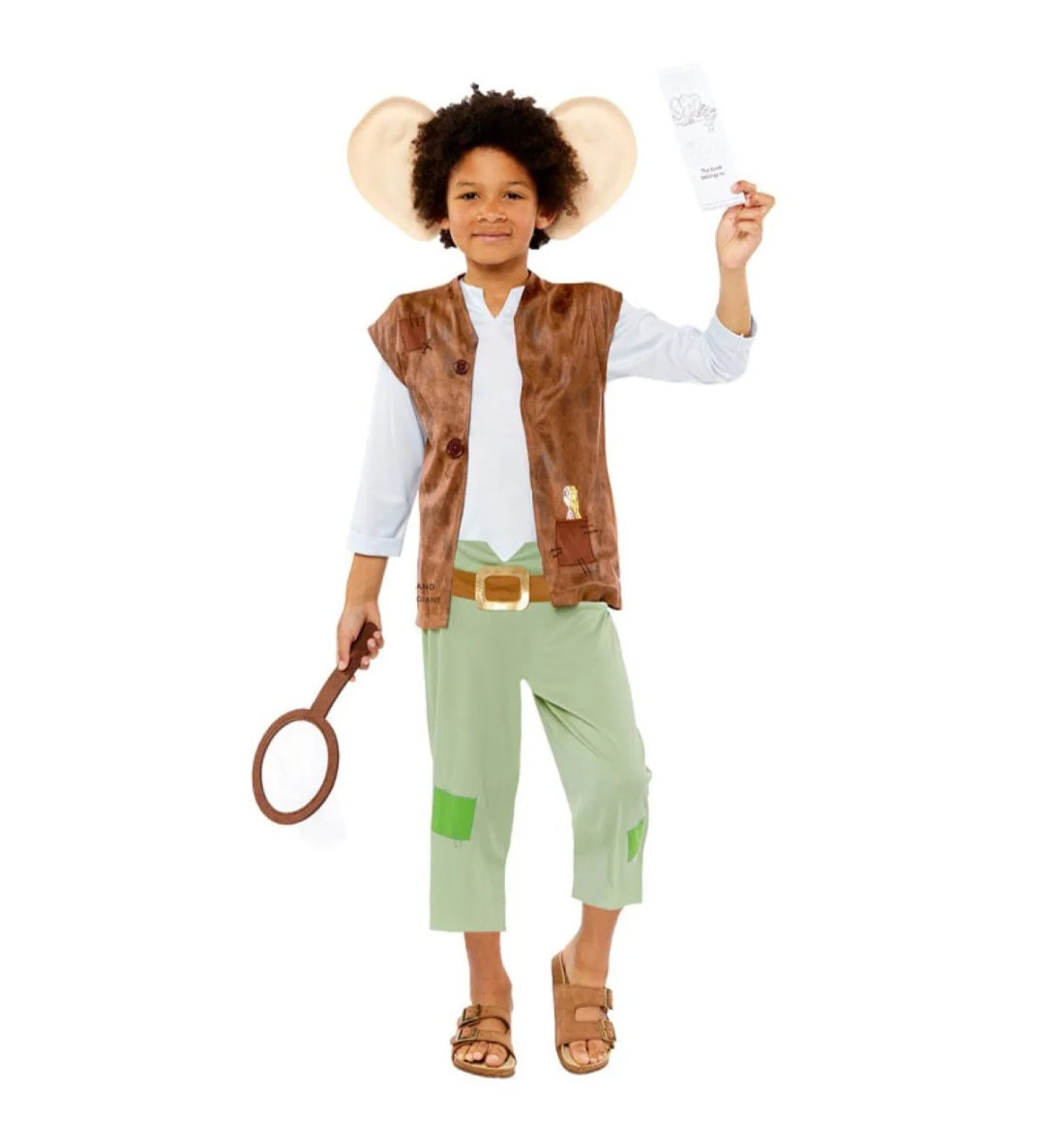 Official Roald Dhal BFG Child Costume