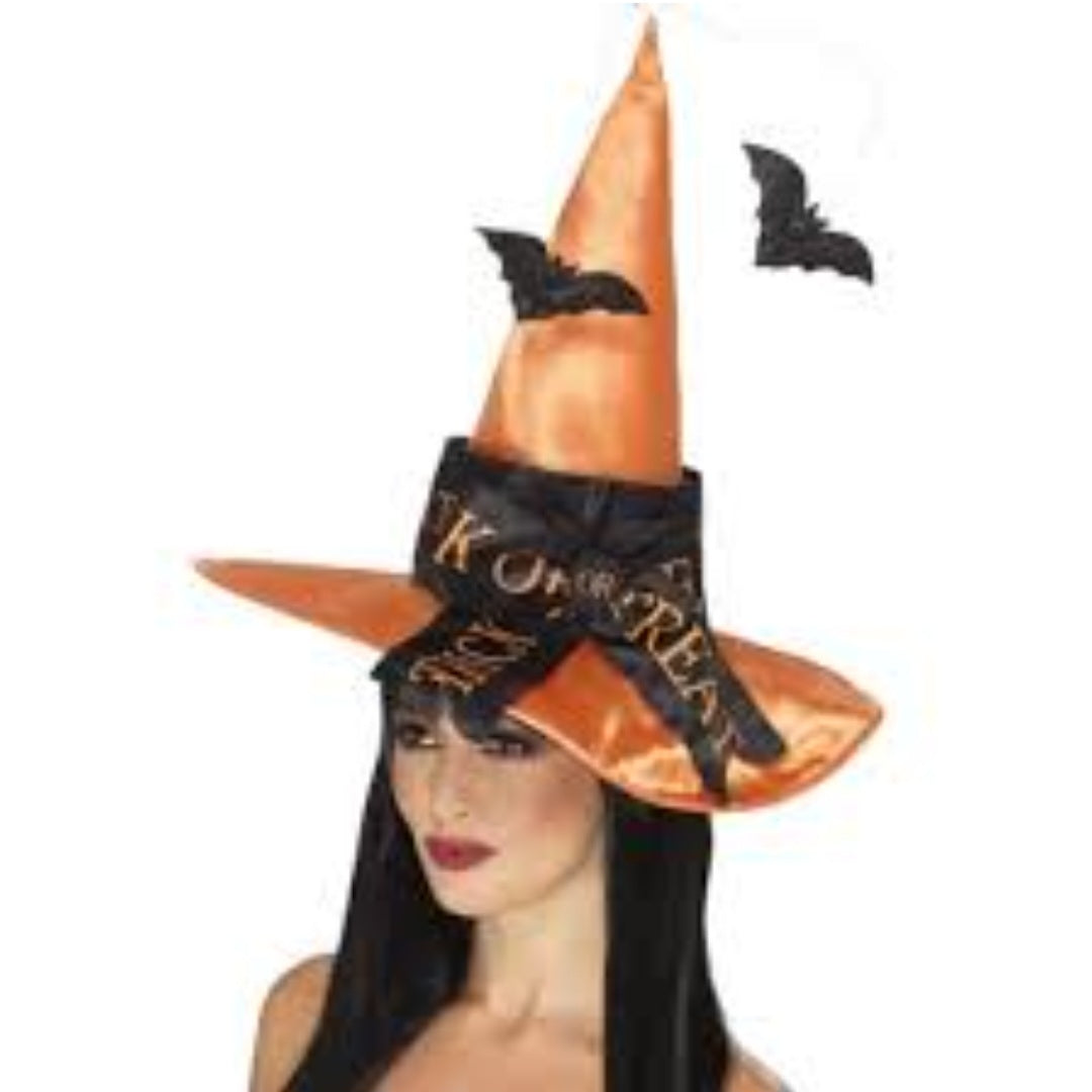 Trick or Treat Witch Hat