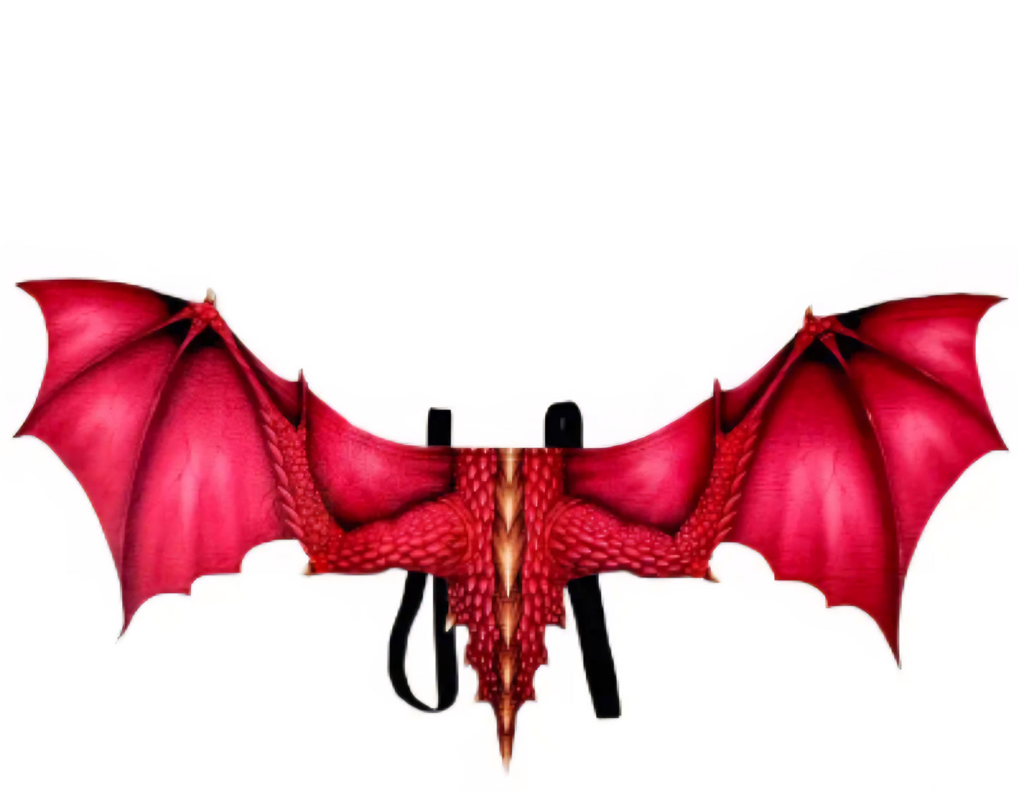 🌟New🌟 Dragon/ Demon Wings Red