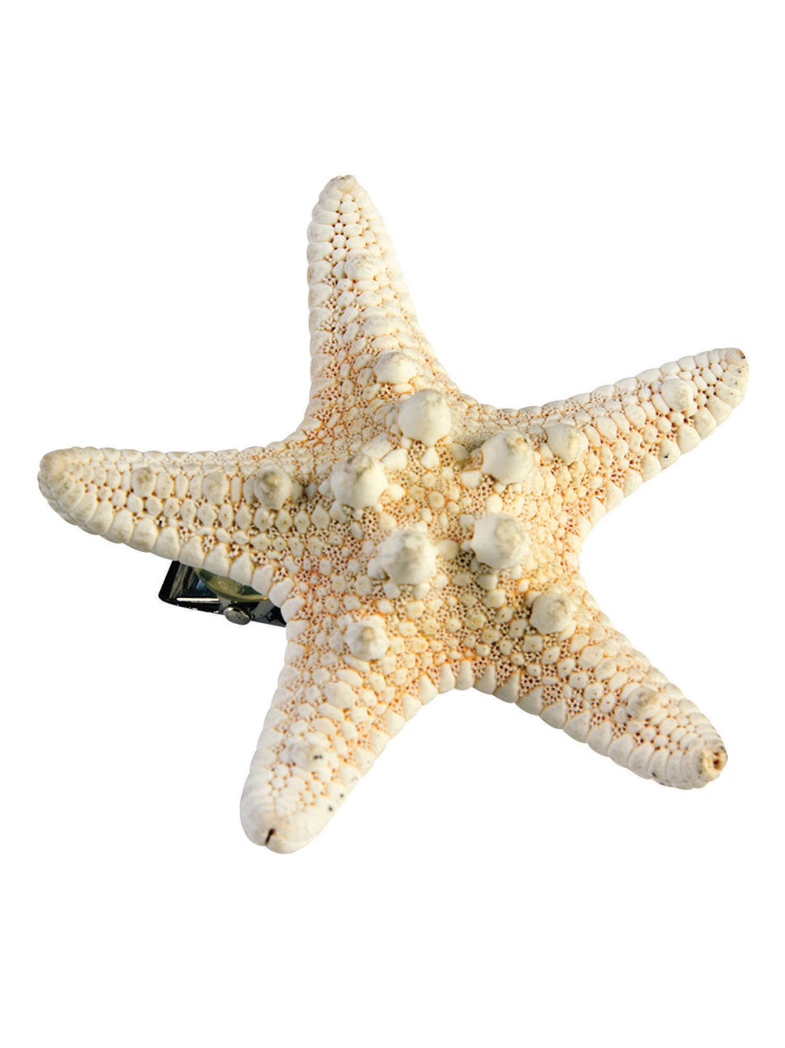 Mermaid Star Fish Hairclip