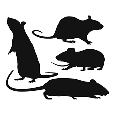 Paper Rat Silhouette Decorations 10pkt