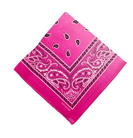 Paisley Bandana/ Neckscarf