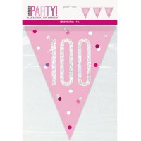 Happy 100th Birthday Glitz Pink Bunting