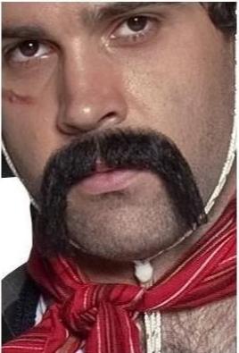 Authentic Western Mexican Moustache