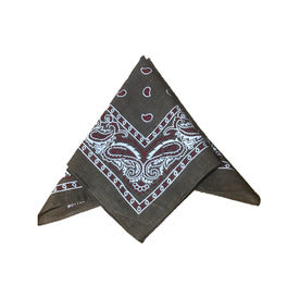 Paisley Bandana/ Neckscarf