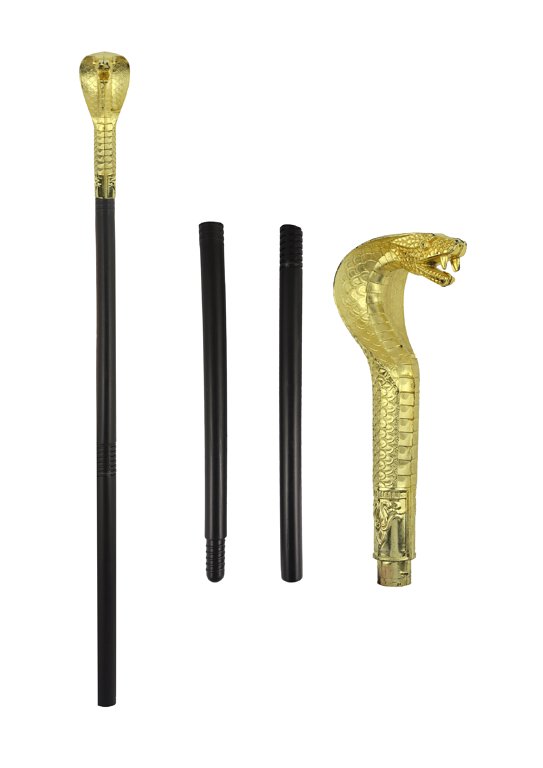 🌟New🌟 Snake Cane Short