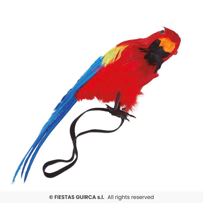 Feather Shoulder Parrot