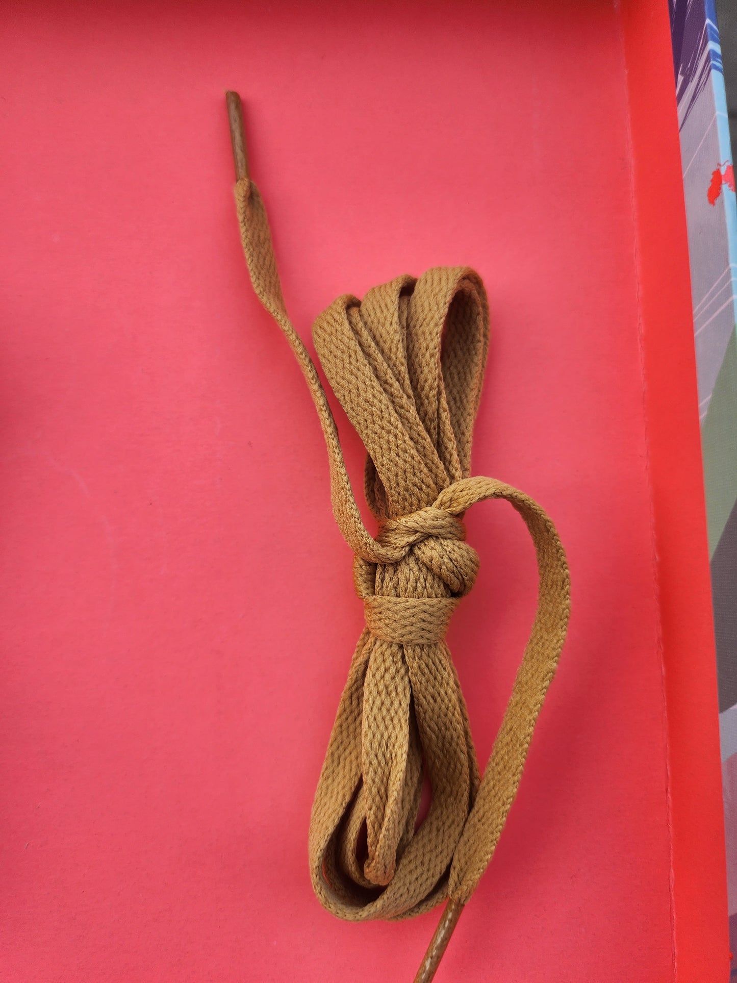 Coloured Shoe Laces