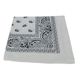 Paisley Bandana/ Neckscarf