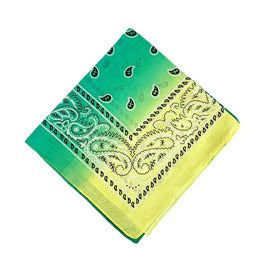 Paisley Bandana/ Neckscarf