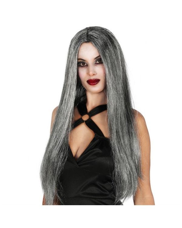 Grey Witch Wig Long