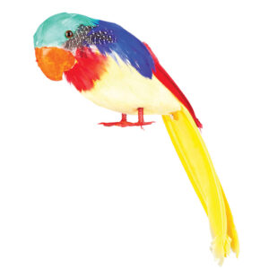 Feather Parrot 30cm