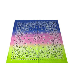Paisley Bandana/ Neckscarf