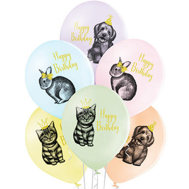 Family Pets 11'' Latex Balloons 6 Pack