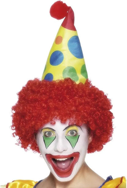 Clown Hat with Hair