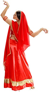 Bollywood Diva Deluxe Costume