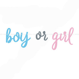 Gender Reveal Letter Banner