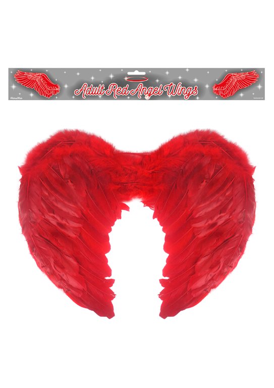 Angel/ Bird Wings Feather