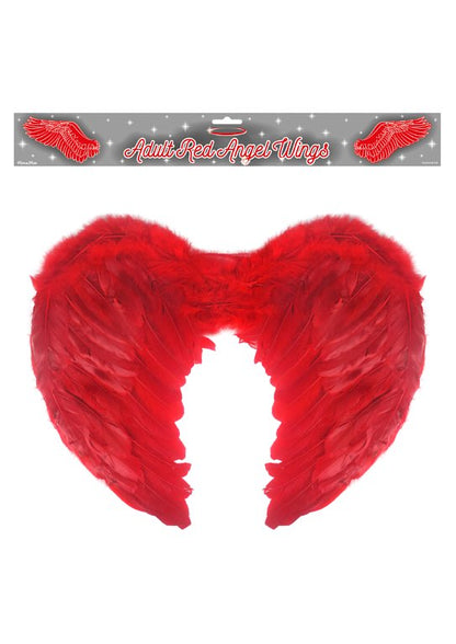 Angel/ Bird Wings Feather