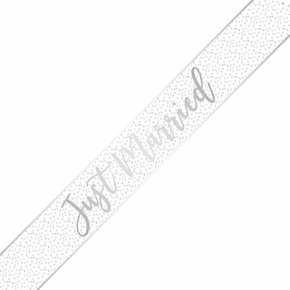 Just Married Banner