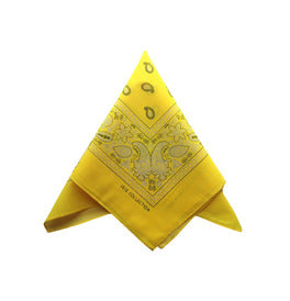 Paisley Bandana/ Neckscarf