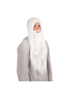 Wizard Wig and Beard