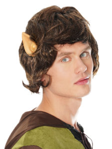 Mythical Boy Wig and Ears