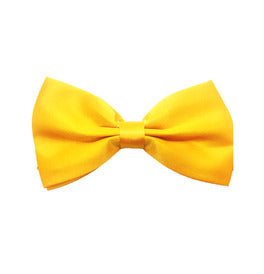 Bow tie Coloured