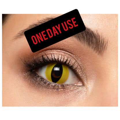 Mesmereyez Wild Cat Contact Lenses- One Day Use