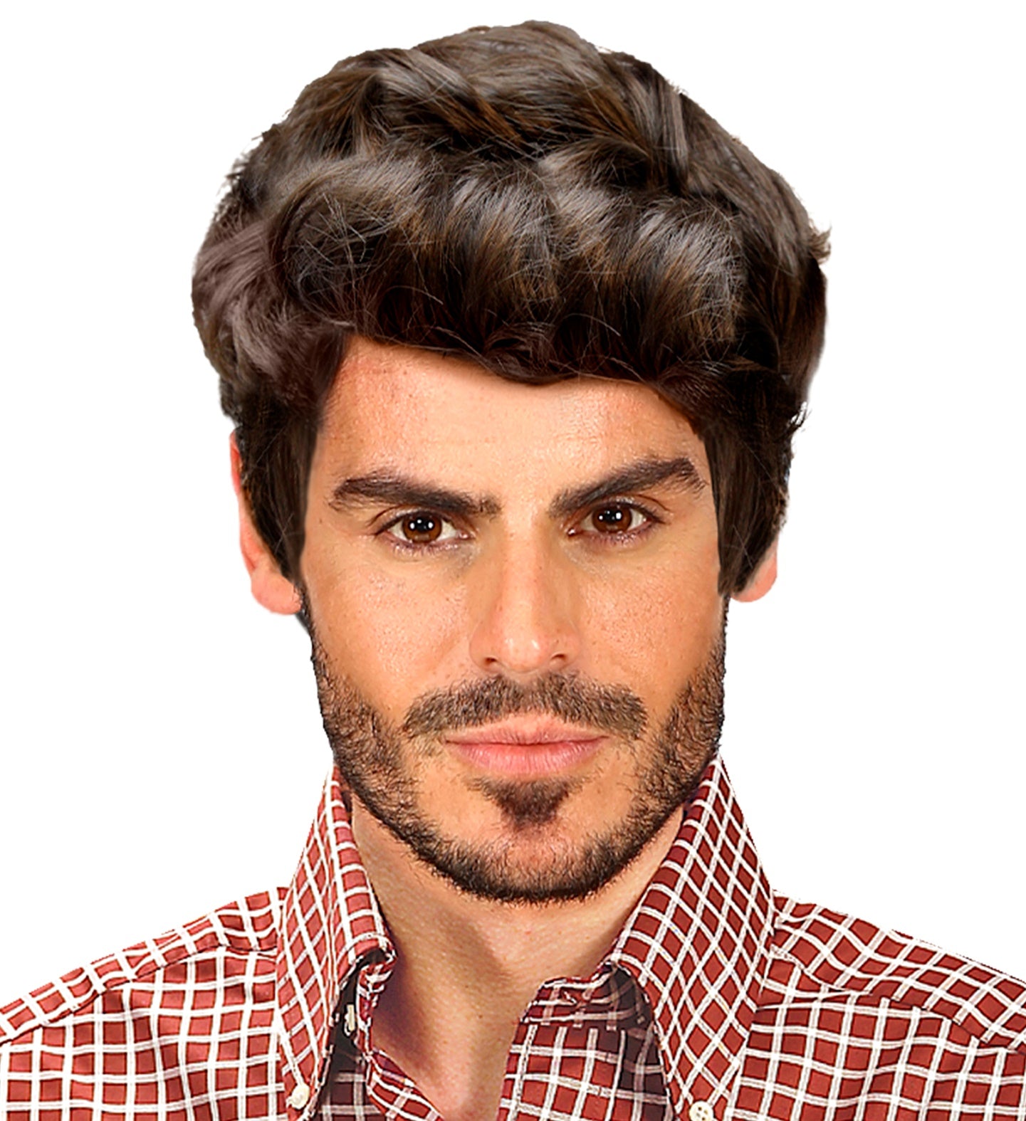 Male Rick Wig