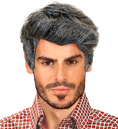 Male Rick Wig
