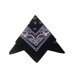 Paisley Bandana/ Neckscarf