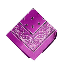 Paisley Bandana/ Neckscarf