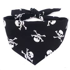 Pirate Bandana