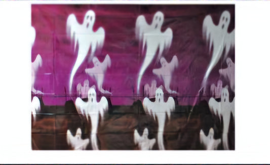 Ghost Wall Cover Add On Scene Setter Decoration