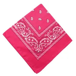 Paisley Bandana/ Neckscarf