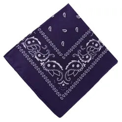 Paisley Bandana/ Neckscarf
